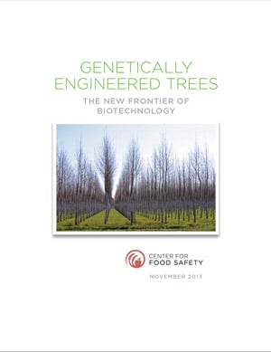 Genetically-Engineered-Trees