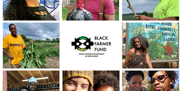 Black Farmer Fund Cohorts