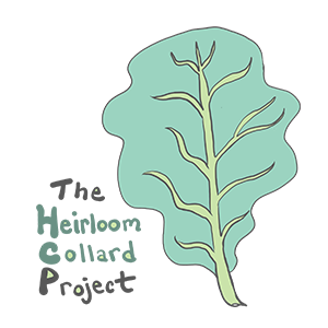 Heirloom Collard Project